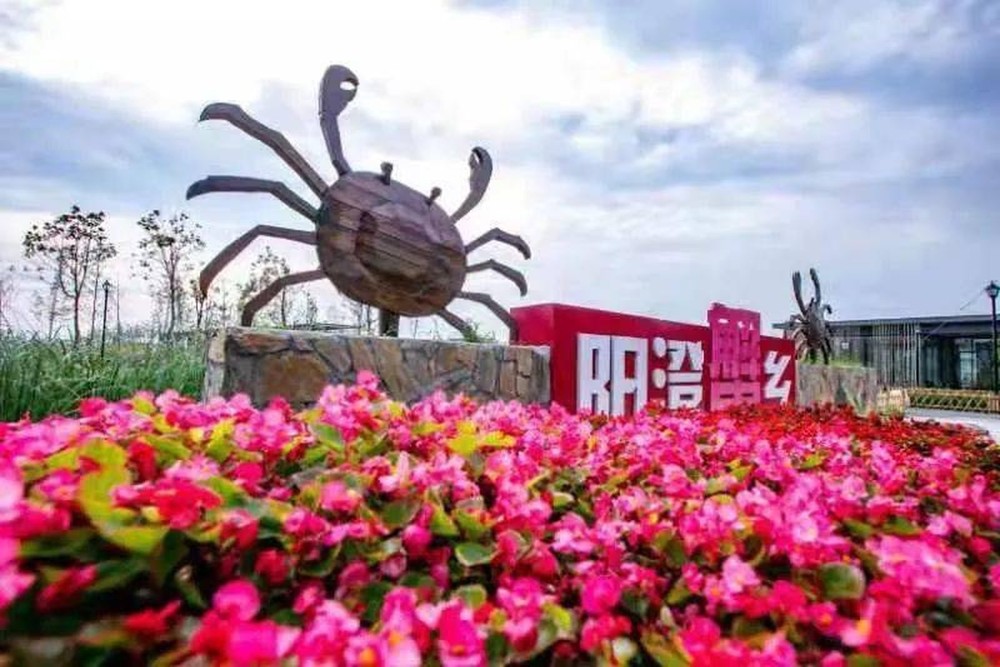 阳澄湖（消泾）国际手作村民宅项目